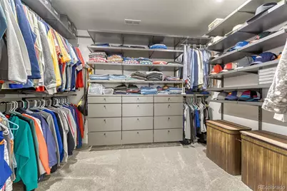 9857 Rosalee Peak Street, Littleton, CO 80125 - Photo 18