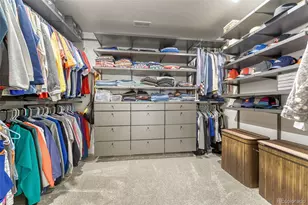 9857 Rosalee Peak St, Littleton, CO 80125 - Photo 18