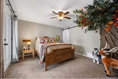 803 Timber Mesa, Florissant, CO 80816 - Photo 18