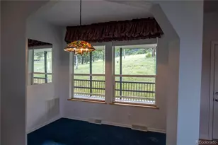 950 Junkins Loop, Westcliffe, CO 81252 - Photo 14