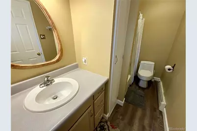 135 Chestnut Street, Leadville, CO 80461 - Photo 12
