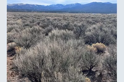 Lot 5 Budweiser Road, Fort Garland, CO 81133 - Photo 8