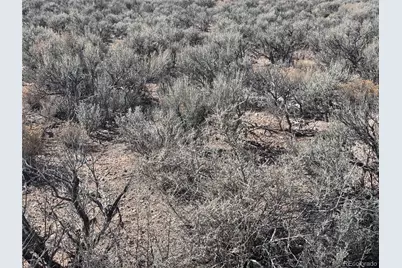 Lot 5 Budweiser Road, Fort Garland, CO 81133 - Photo 6