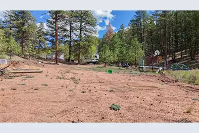 95 Navajo Trail, Florissant, CO 80816 - Photo 16