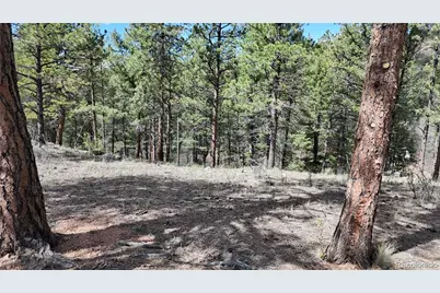 95 Navajo Trail, Florissant, CO 80816 - Photo 10