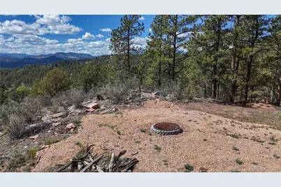 95 Navajo Trail, Florissant, CO 80816 - Photo 12