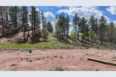 95 Navajo Trail, Florissant, CO 80816 - Photo 4