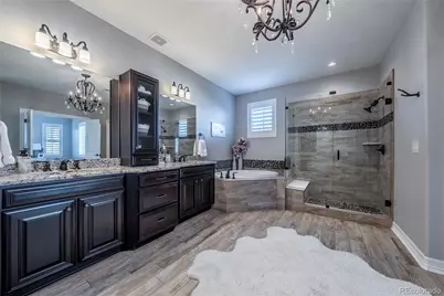 11586 Pine Canyon Drive, Parker, CO 80138 - Photo 30