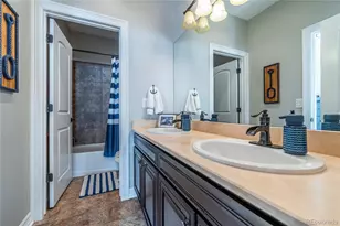 11586 Pine Canyon Dr, Parker, CO 80138 - Photo 34