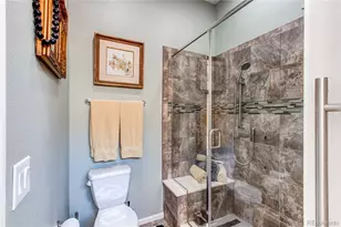 3444 New Haven Cir, Castle Rock, CO 80109 - Photo 30