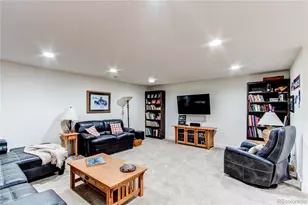 3444 New Haven Cir, Castle Rock, CO 80109 - Photo 22