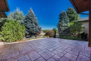 8780 Steeplechase Dr, Franktown, CO 80116 - Photo 40