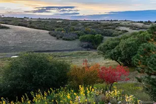 13079 Whisper Canyon Rd, Castle Pines, CO 80108 - Photo 46