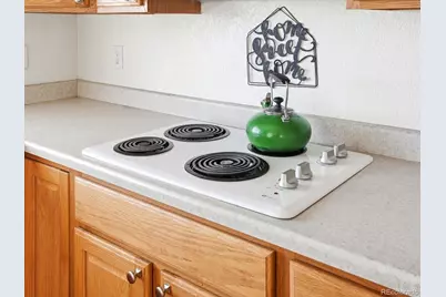 1780 Peridot Lane, Castle Rock, CO 80108 - Photo 32