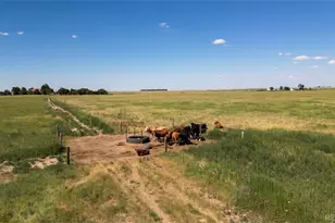 8475 County Rd 7, Joes, CO 80822 - Photo 24