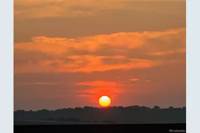 9538 Bear River Street, Littleton, CO 80125 - Photo 50