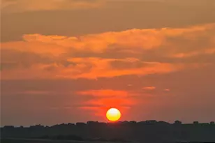 9538 Bear River St, Littleton, CO 80125 - Photo 50