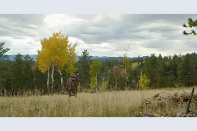 12414 S US Hwy 285, Conifer, CO 80433 - Photo 8