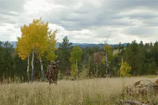 12414 S US Hwy 285, Conifer, CO 80433 - Photo 8