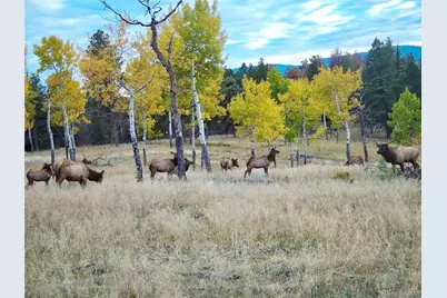 12414 S US Hwy 285, Conifer, CO 80433 - Photo 28