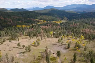 12414 S US Hwy 285, Conifer, CO 80433 - Photo 44