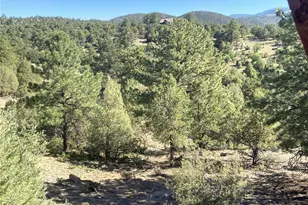 136 Burnt Timber Cir, Cotopaxi, CO 81223 - Photo 30