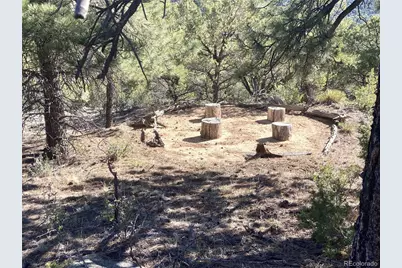 136 Burnt Timber Circle, Cotopaxi, CO 81223 - Photo 22