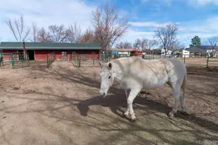 6263 Laodicea Rd, Longmont, CO 80503 - Photo 6