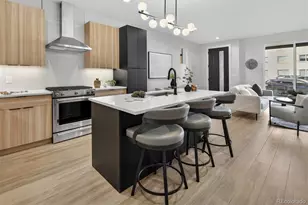 828 N Cherry Street, Denver, CO 80220 - Photo 8