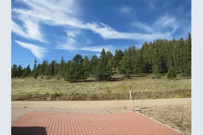 249 Tressel Trail, Hartsel, CO 80449 - Photo 16