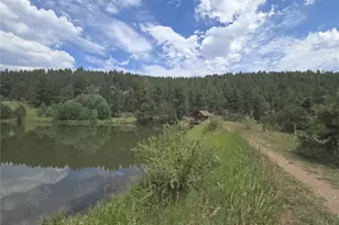571 Wisp Creek Dr, Bailey, CO 80421 - Photo 42