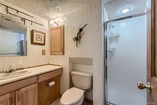 1651 E Kettle Ave, Centennial, CO 80122 - Photo 24