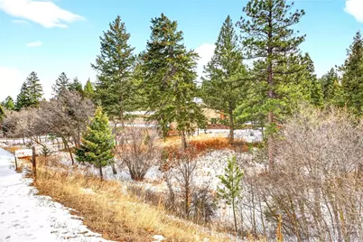 6570 S Pike Drive, Larkspur, CO 80118 - Photo 42
