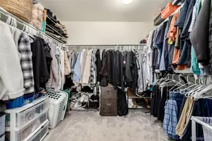 9781 Bennett Peak St, Littleton, CO 80125 - Photo 22