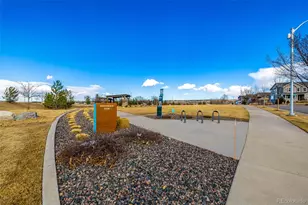 9781 Bennett Peak St, Littleton, CO 80125 - Photo 40
