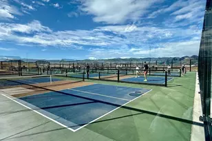 9781 Bennett Peak St, Littleton, CO 80125 - Photo 50