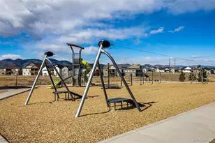 9781 Bennett Peak St, Littleton, CO 80125 - Photo 48