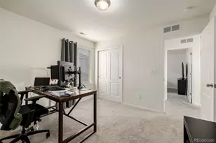 9781 Bennett Peak St, Littleton, CO 80125 - Photo 24