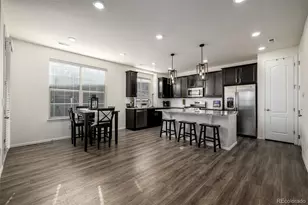 9781 Bennett Peak St, Littleton, CO 80125 - Photo 10