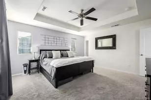 9781 Bennett Peak St, Littleton, CO 80125 - Photo 16