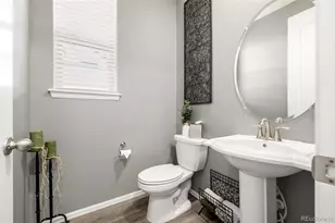 9781 Bennett Peak St, Littleton, CO 80125 - Photo 14