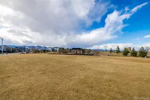 9781 Bennett Peak St, Littleton, CO 80125 - Photo 44