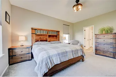 6228 Dapplegray Street, Parker, CO 80134 - Photo 8