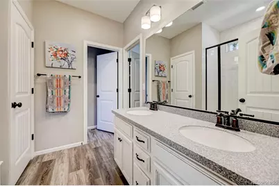 6228 Dapplegray Street, Parker, CO 80134 - Photo 4