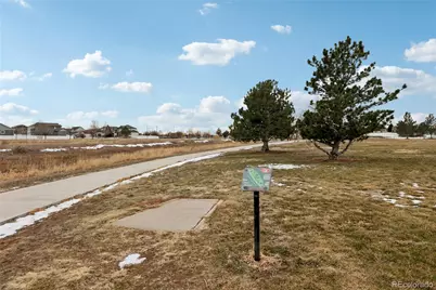 3905 Sweetgum Street, Wellington, CO 80549 - Photo 36