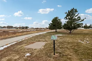 3905 Sweetgum St, Wellington, CO 80549 - Photo 36