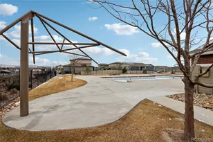 3905 Sweetgum St, Wellington, CO 80549 - Photo 32