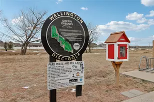 3905 Sweetgum St, Wellington, CO 80549 - Photo 30