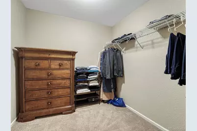 7310 Blue Water Drive, Castle Rock, CO 80108 - Photo 30