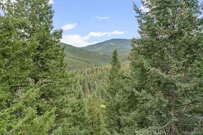 32438 Little Cub Road, Evergreen, CO 80439 - Photo 38